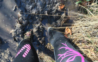 Rootcamp_trail